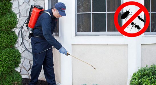 Helvacı Pire İlaçlama böcek ilaçlama ve haşere kontrolü — ilaclama-tr.com